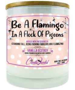 Be A Flamingo In A Flock Of Pigeons Candle