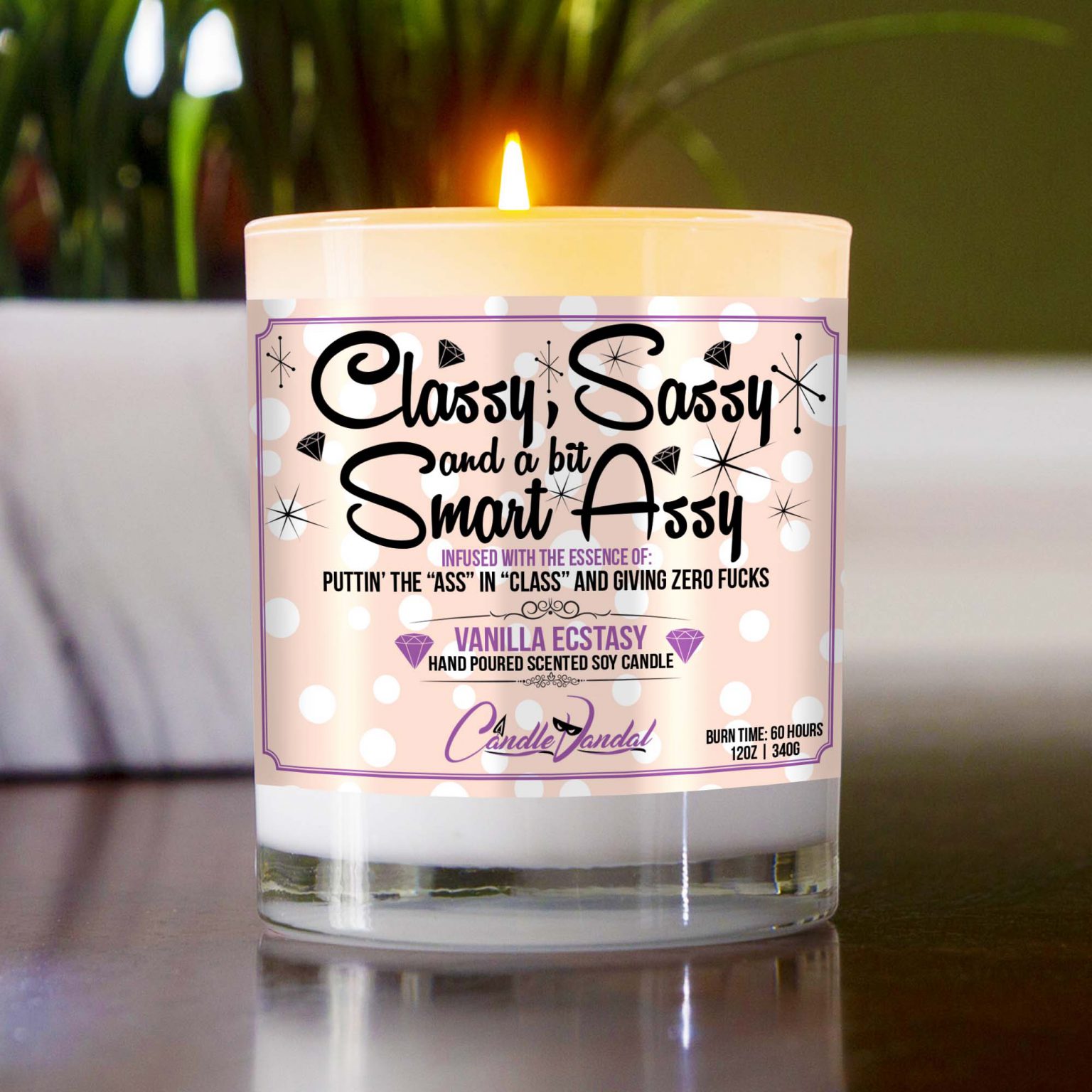 Classy Sassy And A Bit Smart Assy Candle Funny And Raunchy