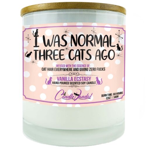 I Was Normal Three Cats Ago Candle
