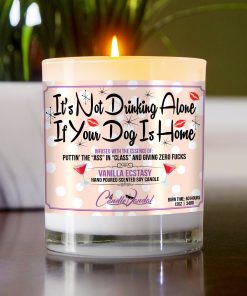 It's Not Drinking Alone if Your Dog is Home Funny Candle