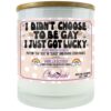 I Didn't Choose to Be Gay I Just Got Lucky Candle