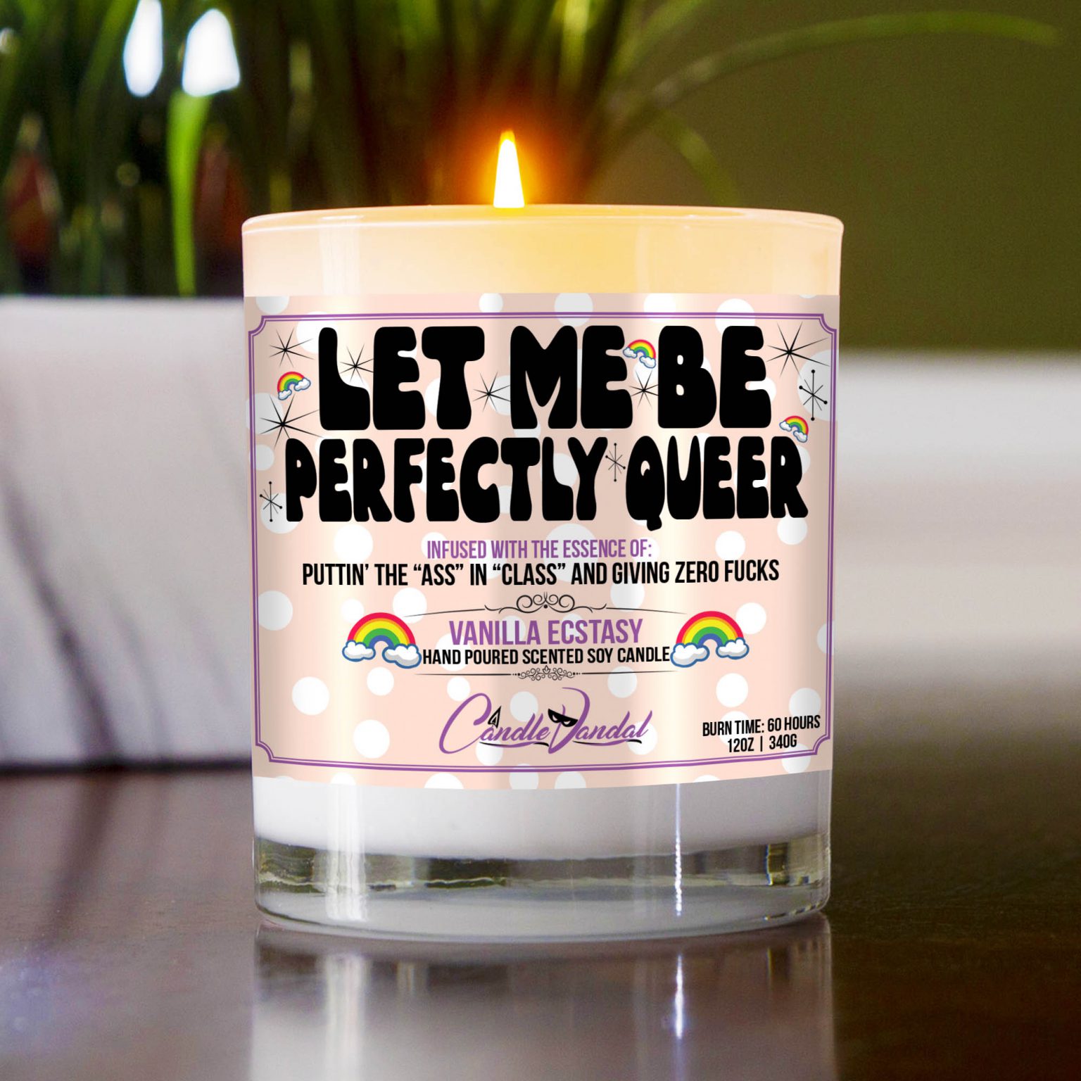 Let Me Be Perfectly Queer Candle Funny Gay Lesbian LGTBQ Candles